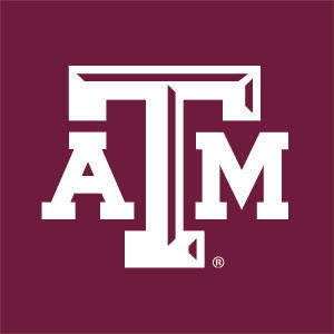Texas A&M University TAM Playstation 3 & PS3 Skin